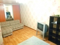 1-комнатная квартира посуточно Казань, Чистопольская, 4: Фотография 3