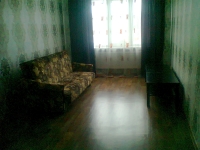 2-комнатная квартира посуточно Нижний Новгород, краснозвездная, 5: Фотография 3