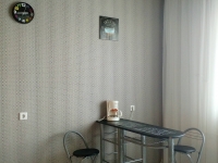1-комнатная квартира посуточно Уфа, комсомольская, 148: Фотография 4