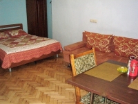 1-комнатная квартира посуточно Железноводск, Ленина балкон в лес, 5Е: Фотография 2