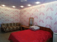 1-комнатная квартира посуточно Барнаул, малахова, 31: Фотография 2