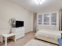 1-комнатная квартира посуточно Нижний Новгород, Окская, 3: Фотография 9