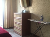 1-комнатная квартира посуточно Калининград, Багратиона, 78: Фотография 4