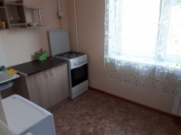 1-комнатная квартира посуточно Нижнекамск, Менделеева , 23: Фотография 4
