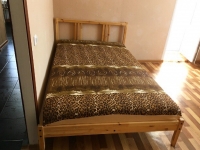 1-комнатная квартира посуточно Оренбург, Салмышская, 43А: Фотография 3