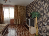 1-комнатная квартира посуточно Красноярск, Алексеева, 111: Фотография 2
