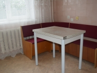 1-комнатная квартира посуточно Омск, Богдана Хмельницкого, 40: Фотография 7