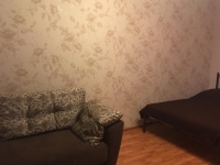 1-комнатная квартира посуточно Нижний Новгород, Большая Покровская , 58: Фотография 2