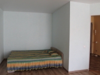 1-комнатная квартира посуточно Смоленск, 1 - Краснофлотский переулок , 15б: Фотография 3
