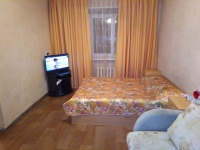 1-комнатная квартира посуточно Челябинск, Цвиллинга, 79: Фотография 3