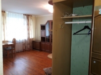 1-комнатная квартира посуточно Новосибирск, гоголя, 11: Фотография 4