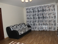 1-комнатная квартира посуточно Нижний Новгород, московское шоссе, 17 корп. 1: Фотография 5