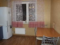 1-комнатная квартира посуточно Нижний Новгород, московское шоссе, 17 корп. 1: Фотография 12