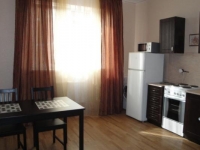 3-комнатная квартира посуточно в Новосибирске по адресу крылова, 11