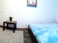 1-комнатная квартира посуточно Омск, Перелета, 24: Фотография 3