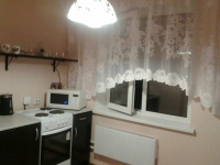 1-комнатная квартира посуточно Новосибирск, Петухова, 160: Фотография 5