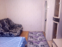 1-комнатная квартира посуточно Нижний Новгород, маршала Воронова, 20: Фотография 3