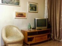 1-комнатная квартира посуточно Новосибирск, Блюхера, 1: Фотография 4