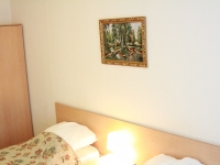 1-комнатная квартира посуточно Новосибирск, Коммунистическая, 2: Фотография 4