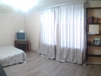 1-комнатная квартира посуточно Екатеринбург, Грибоедова, 11: Фотография 2