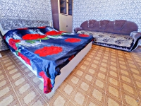 1-комнатная квартира посуточно Екатеринбург, Шейнкмана, 134: Фотография 2