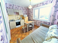 1-комнатная квартира посуточно Екатеринбург, Шейнкмана, 134: Фотография 6