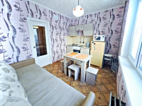 1-комнатная квартира посуточно Екатеринбург, Шейнкмана, 134: Фотография 7