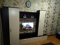 1-комнатная квартира посуточно Минусинск, улица Трегубенко, 59: Фотография 13