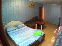 1-комнатная квартира посуточно Минусинск, Ванеева, 13: Фотография 3