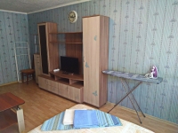 1-комнатная квартира посуточно Минусинск, Ванеева, 13: Фотография 5