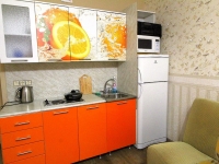 1-комнатная квартира посуточно Санкт-Петербург, Михаила Дудина, 10: Фотография 2
