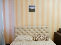 1-комнатная квартира посуточно Новосибирск, Адриена Лежена, 19: Фотография 2
