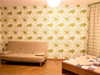 1-комнатная квартира посуточно Новосибирск, Чехова, 111: Фотография 2