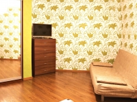 1-комнатная квартира посуточно Новосибирск, Чехова, 111: Фотография 8