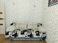 2-комнатная квартира посуточно Новосибирск, Красный проспект, 94/1: Фотография 6