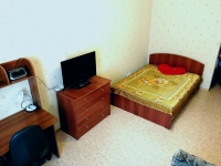 1-комнатная квартира посуточно Барнаул, Ленина , 147в: Фотография 2