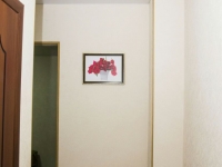 1-комнатная квартира посуточно Омск, Карта Маркса, 89: Фотография 8