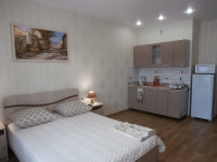 1-комнатная квартира посуточно Иркутск, Лермонтова, 31: Фотография 3