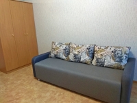 1-комнатная квартира посуточно Красноярск, Ярыгинская набережная, 9: Фотография 2