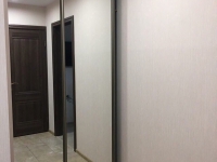 1-комнатная квартира посуточно Ижевск, Удмуртская, 268: Фотография 8