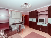 1-комнатная квартира посуточно Казань, Амирхана , 14б: Фотография 2