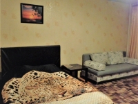 1-комнатная квартира посуточно Нижний Новгород, Родионова, 192к3: Фотография 2