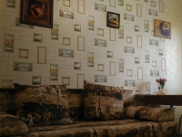 1-комнатная квартира посуточно Тюмень, Квартира посуточно на Николая Зелинского, 3: Фотография 3