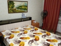 1-комнатная квартира посуточно Саратов, Тархова, 27Б: Фотография 4