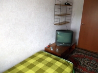 2-комнатная квартира посуточно Воронеж, ул. Героев Сибиряков, 67: Фотография 3