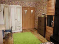 1-комнатная квартира посуточно Нижний Новгород, Карла Маркса, 24: Фотография 3