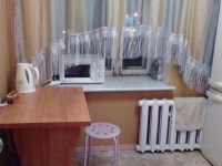1-комнатная квартира посуточно Новосибирск, фрунзе, 23: Фотография 3
