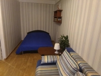 1-комнатная квартира посуточно Санкт-Петербург, Богатырский проспект, 5 к. 2: Фотография 6