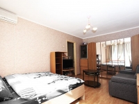 1-комнатная квартира посуточно Екатеринбург, Челюскинцев, 110: Фотография 3
