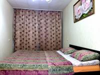 2-комнатная квартира посуточно Воскресенск, Пионерская , 12: Фотография 4